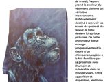 une image représentant un tableau représentant un gorille sur fond blanc