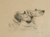 drawing of two dogs looking up at something in the distance
