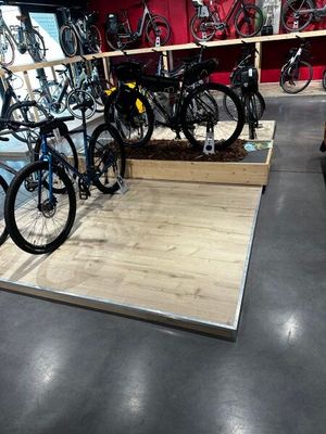 de nombreux vélos exposés dans le magasin
