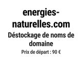 Photo 1/1 du lot