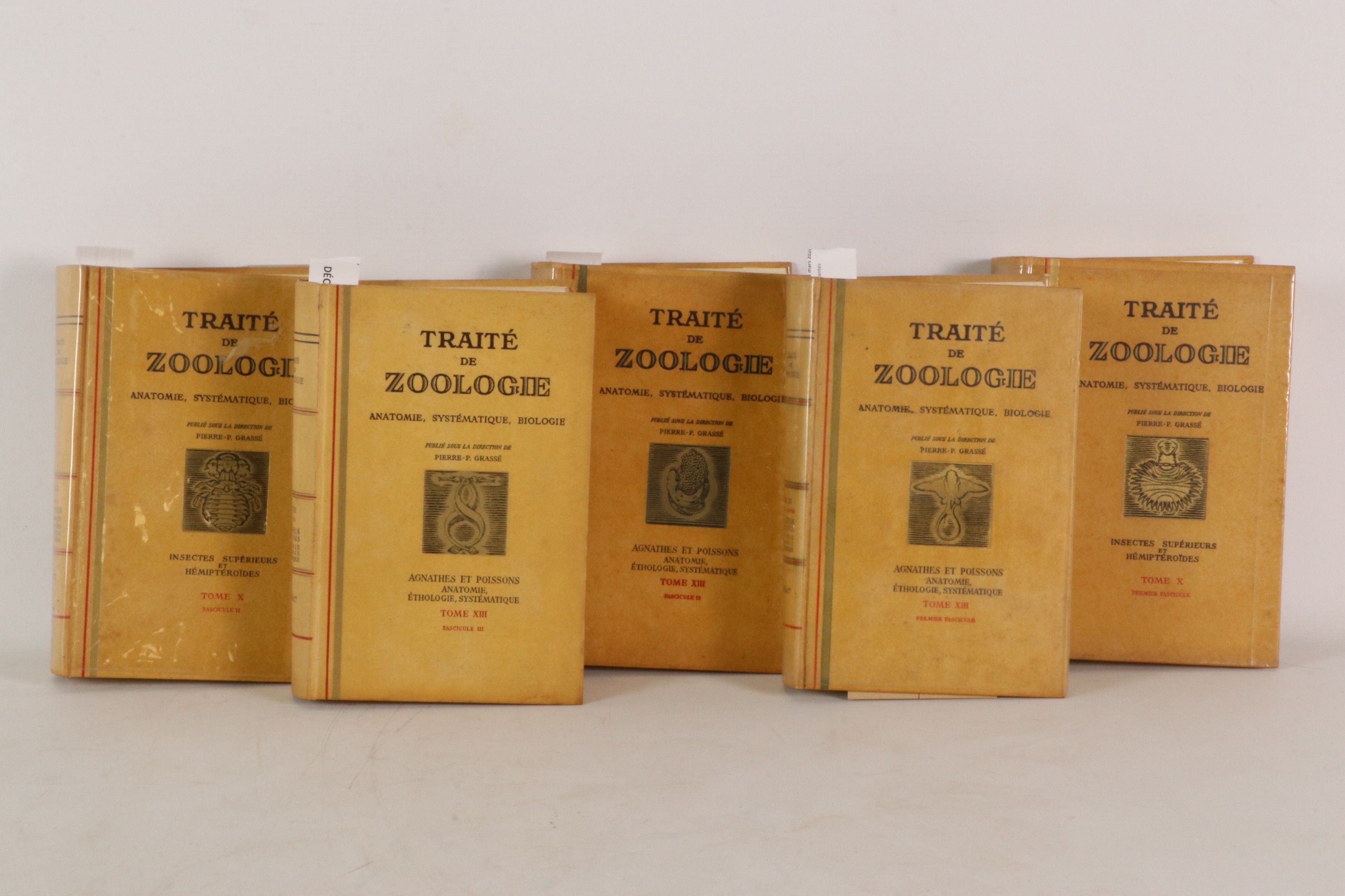 [ZOOLOGIE] GRASSE (Pierre P). Traité de zoologie, anatomie, …