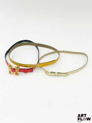 une paire de laisses pour chien en cuir doré et rouge sur fond blanc