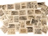 a lot of old photos of people and animals on a white background