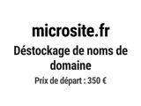 Photo 1/1 du lot