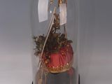 a glass clochet with a ship inside of it