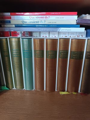 beaucoup de livres sur une étagère