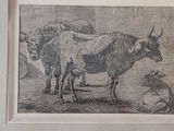a picture of a drawing of a cow and two other animals