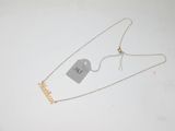 gros plan d'un collier auquel est attachée une étiquette