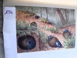 une photo d'une photo représentant un groupe d'animaux dans les bois