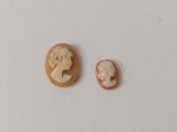 une image représentant quelques petits morceaux de nourriture posés sur une surface blanche