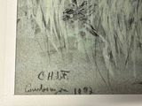 drawing of a bird in a field of grass with a bird sitting on it ' s back
