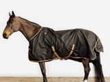 a horse that is standing in the sand with a blanket on
