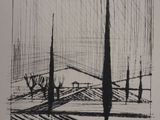 un dessin en noir et blanc représentant des arbres dans un champ, avec le ciel en arrière-plan
