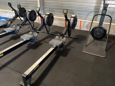 Plusieurs rameurs sont alignés les uns à côté des autres dans une salle de sport
