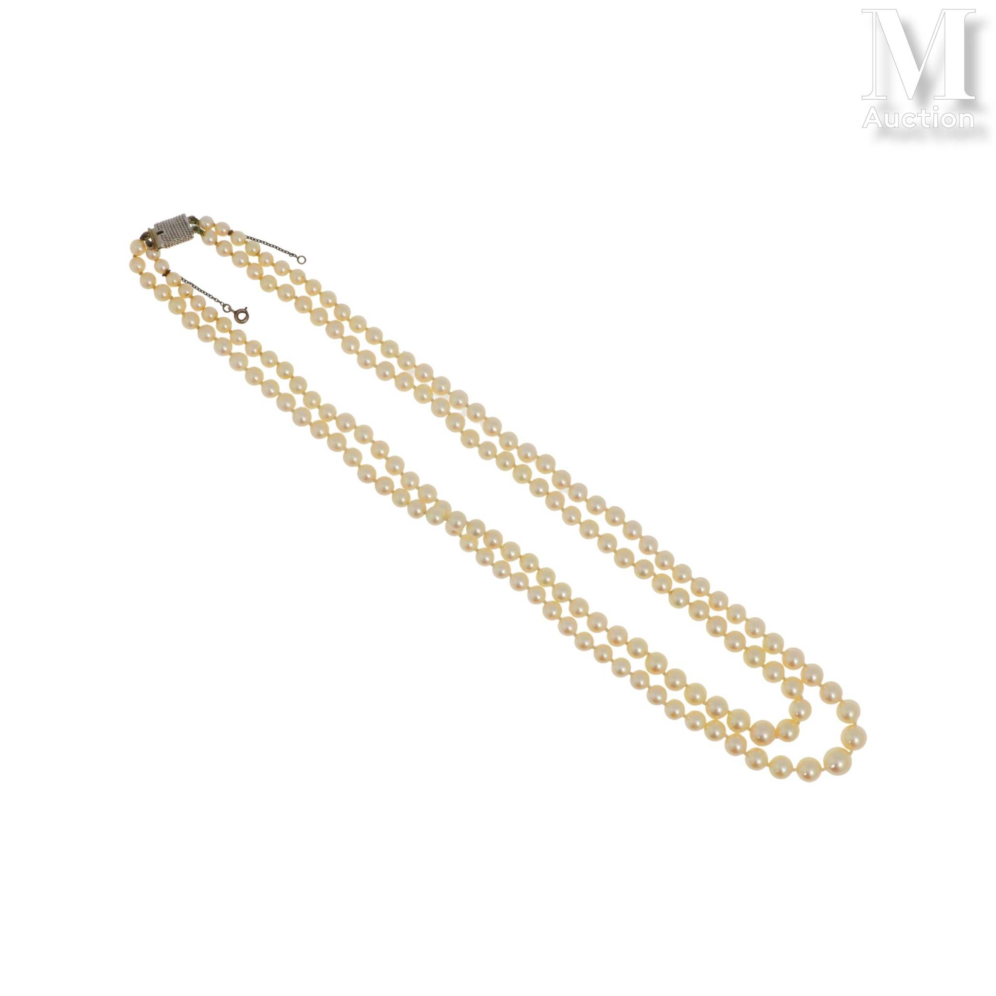 Bijoux & Pierres Précieuses