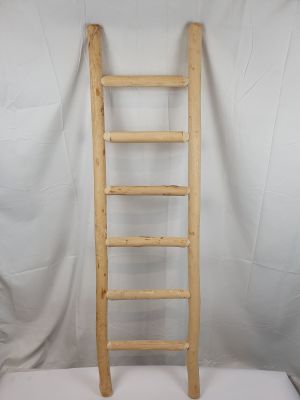 une échelle en bois appuyée contre un fond blanc