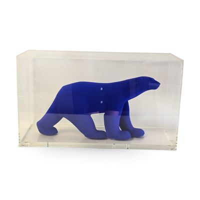 un ours polaire bleu dans une boîte transparente sur fond blanc