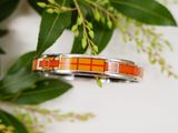 a close up of a bracelet on a plant with leaves in the background
