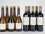 six bouteilles de vin sont posées les unes à côté des autres sur une table