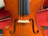an image of a violin sitting on top of a red case