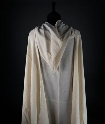 le dos d'un sweat à capuche blanc, porté par un mannequin