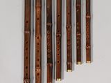 six flutes are lined up in a row on a white surface