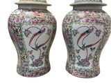 pair of chinese vases with birds and flowers painted on them
