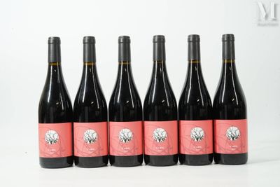 six bouteilles de vin sont alignées sur une surface blanche