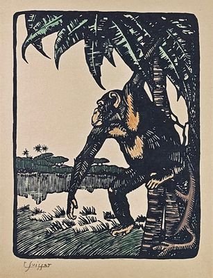 Gaston SUISSE (1896-1988) Chimpanzé. Gravure sur bois sur pa…