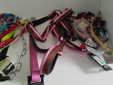 a white shelf with a bunch of dog collars and leashes on it