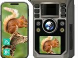 deux photos d'un écureuil et d'un écureuil sur un téléphone portable