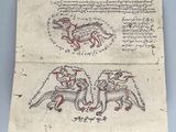un ancien manuscrit sur lequel figure le dessin d'un dragon et d'un homme à cheval