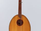 a close up of a guitar on a white background