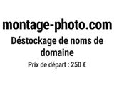 Photo 1/1 du lot