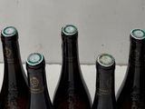 bottles of beer are lined up in a row on a counter