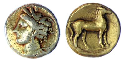 an image of a gold coin with a horse on it