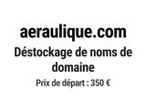 Photo 1/1 du lot