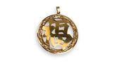 a close up of a gold plated pendant on a white background