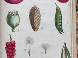 a book with a bunch of fruits and vegetables on it