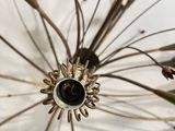 a picture of a close up of a dandelier