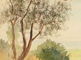 a watercolor painting of a tree on the side of a hill