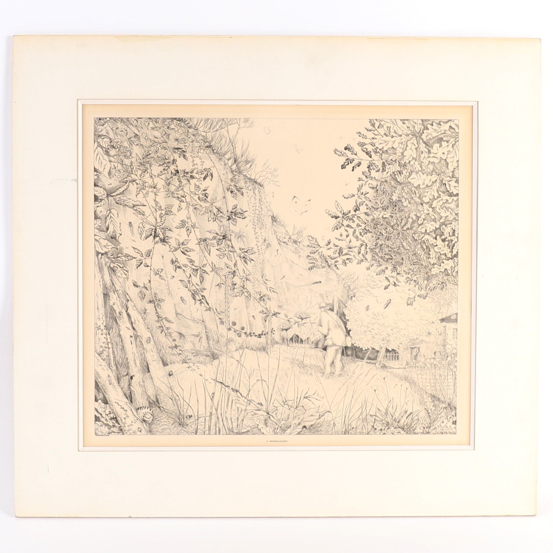 Objets d'art & Curiosités