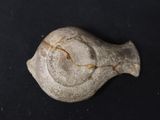a stone object that looks like a bird on a black surface