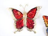 two butterflies that are sitting next to each other on a table