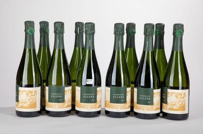 six bouteilles de vin sont alignées sur une table