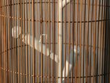 a bird that is sitting inside of a cage