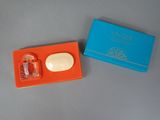 an orange and blue box with a soap and a soap bar in it