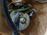 a close up of a guitar with wires and a guitar picker