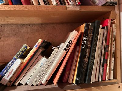 de nombreux livres qui se trouvent sur les étagères de la pièce