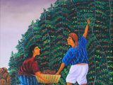un tableau représentant deux femmes cueillant des grains de café sur un arbre